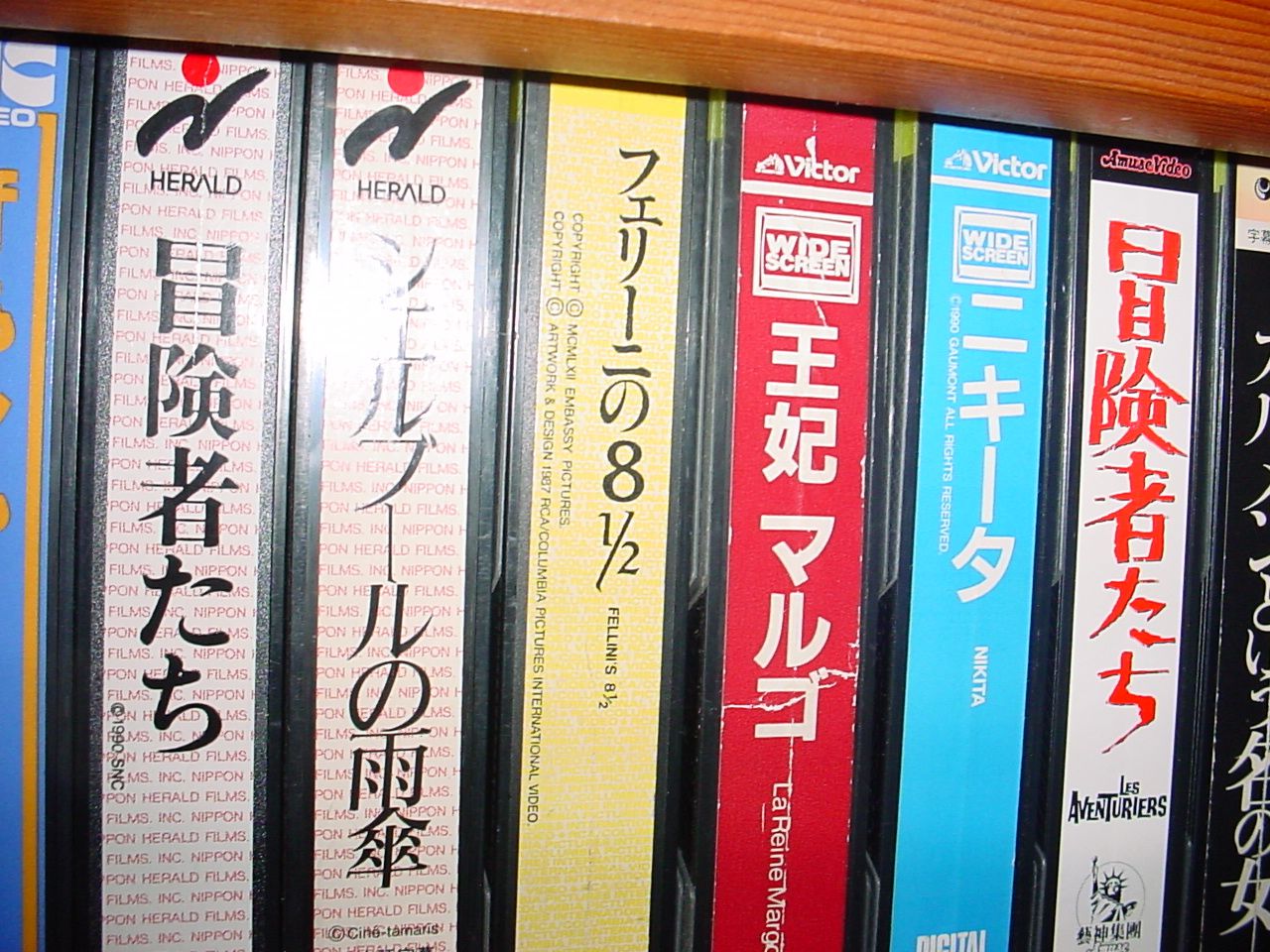 （Ｈ１９／８／９）今ブログ再上昇につき追加記します！！本日夜１０時いちまたブログ愛読者様へ『願い』。