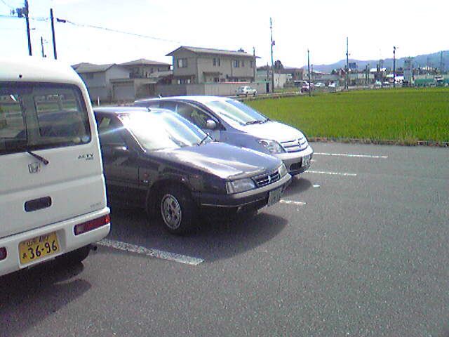 ママ・ミ～ア！！冷えヒエです？？奇跡かＺＸ君（黒マヌー）。