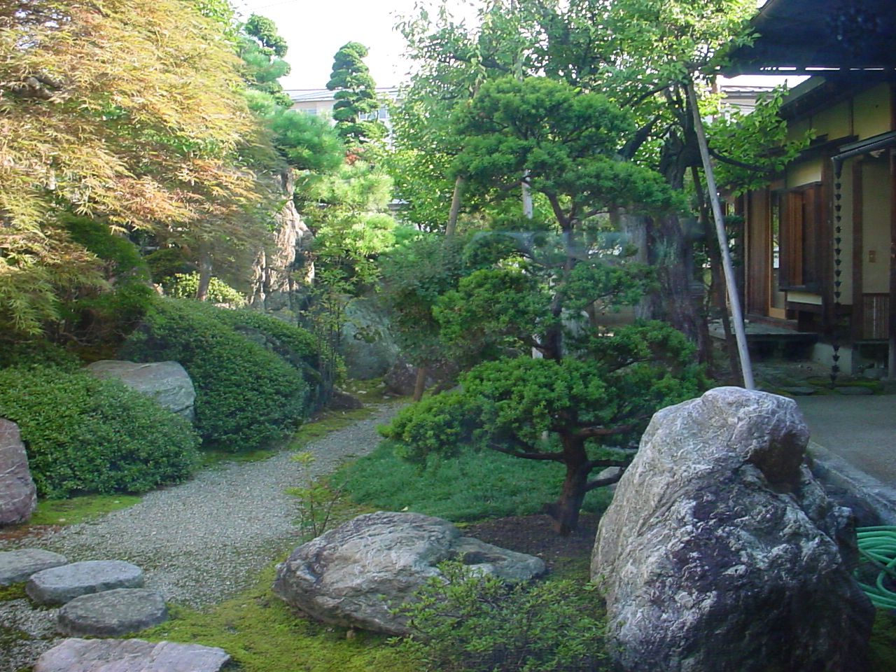 ≪写真ｕｐ完了≫クラシコを知る、そして着物のアレンジと。〔シーン例：叙勲パーティー〕