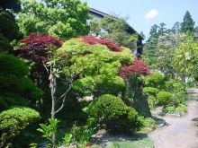 明日より☆あら町レトロ☆いちまたオープンガーデン