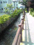 着物で又、失態・・・でも効用、実感！