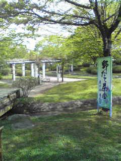 野点茶会初日