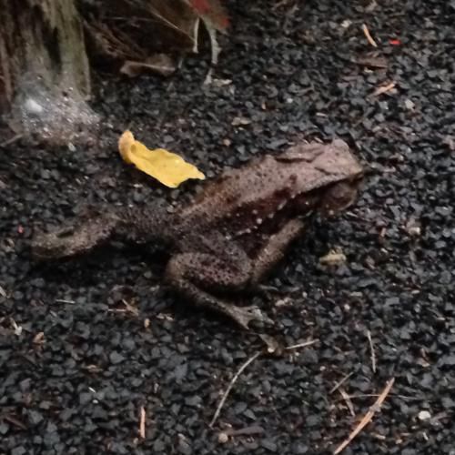 色々想う１日かな