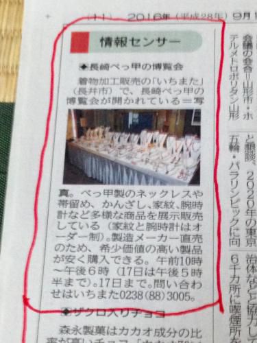 鼈甲２