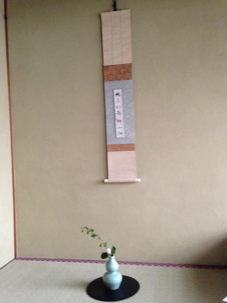 毎日着物断念の日