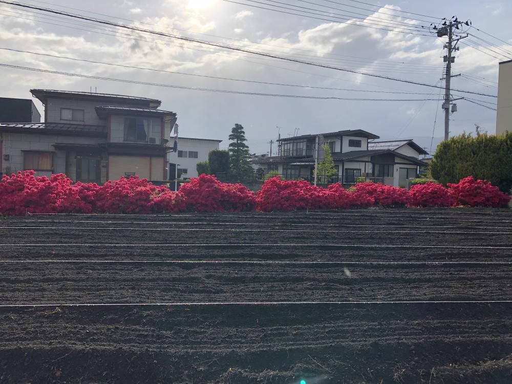 散歩の途中