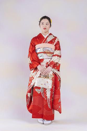 白重ね藤の友禅に錦のバック！