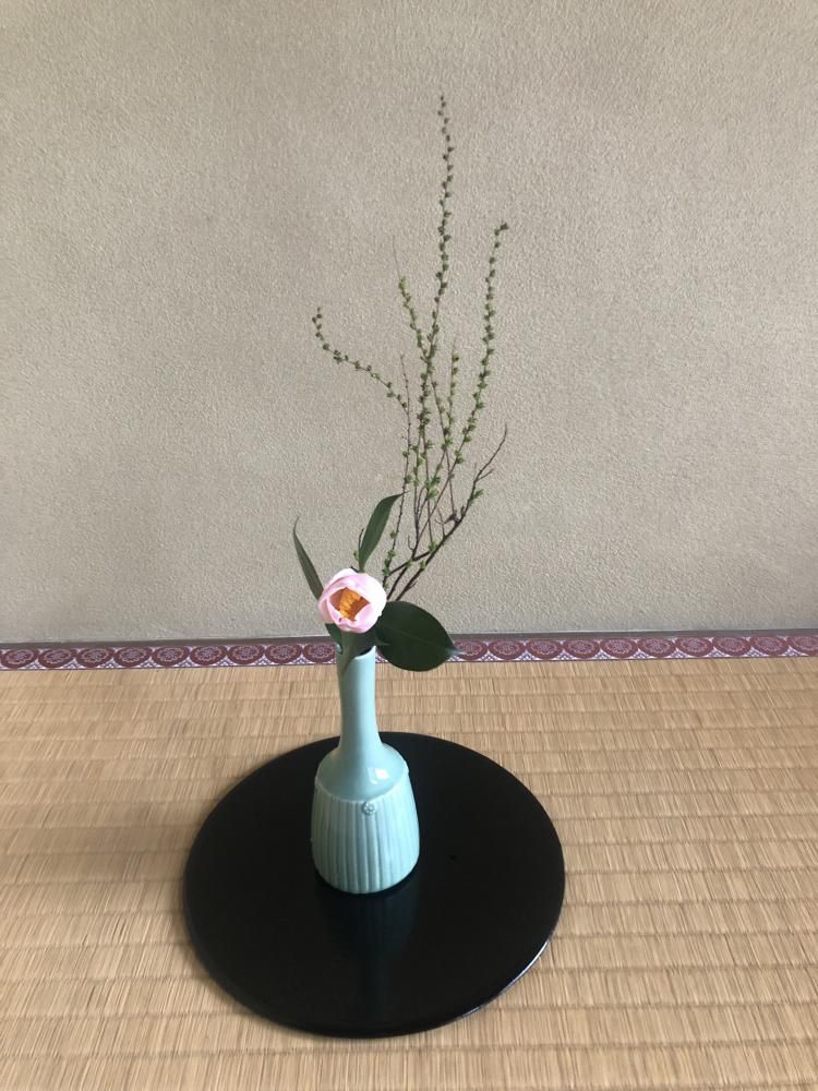茶道のお稽古がやっと再開です(^^)