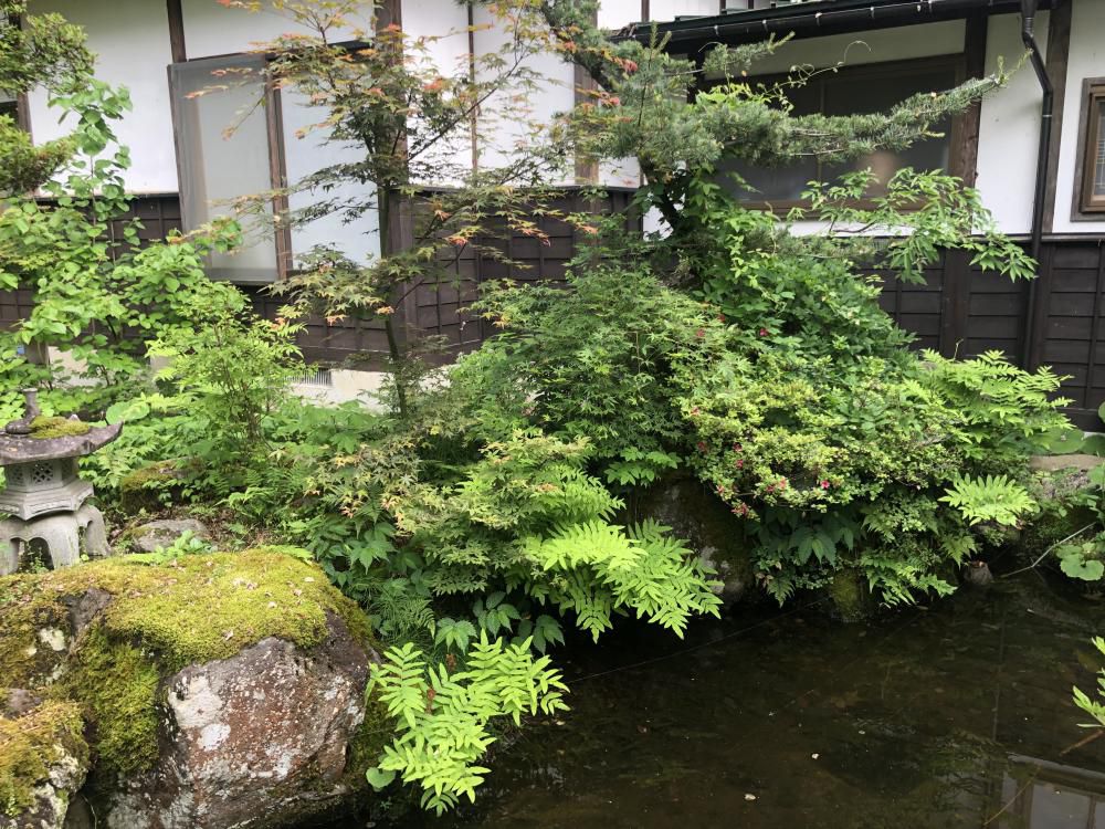 澤瀉屋