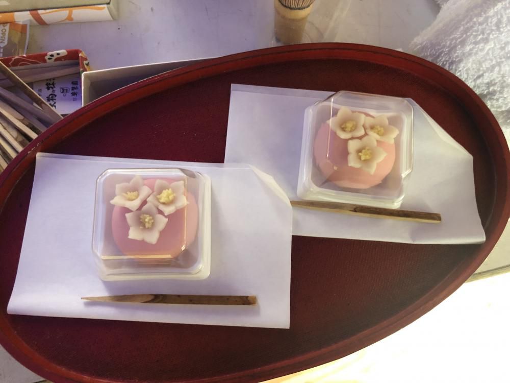 名残りの白つつじ