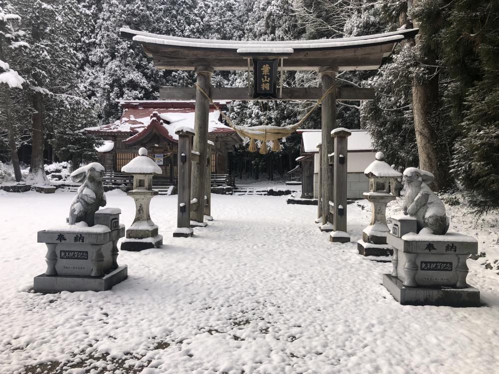 双羽の兎