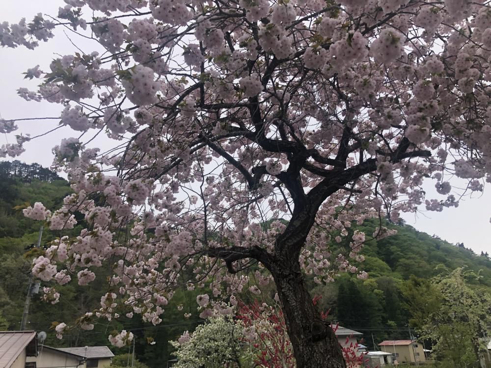 宮城県の超田舎は素晴らしく！