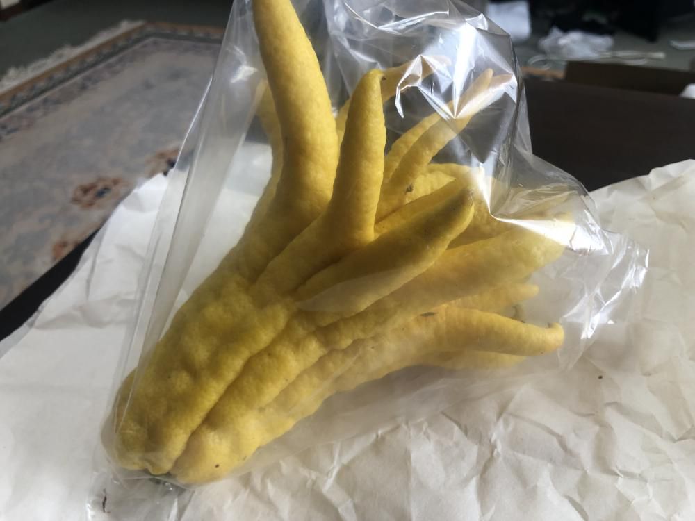 この作物、柑橘類との事で