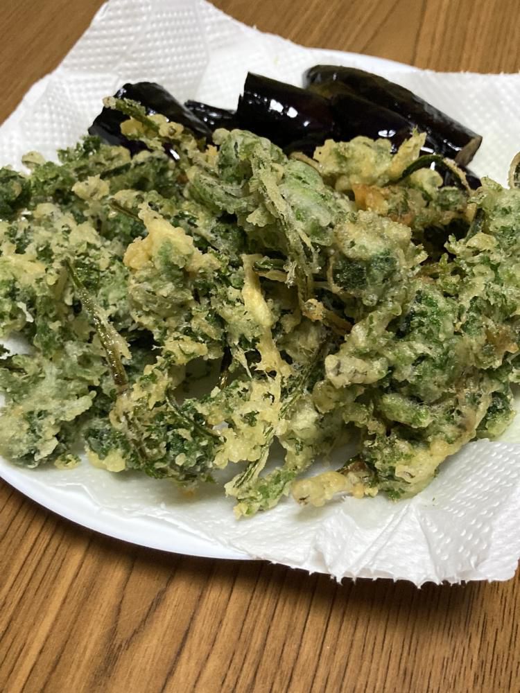 『こごみ』の天ぷら