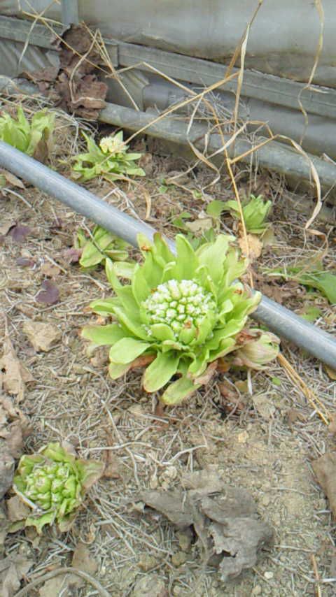 写真撮影が趣味になりました
