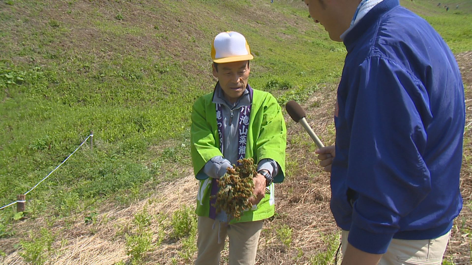 あぁ山菜の日々
