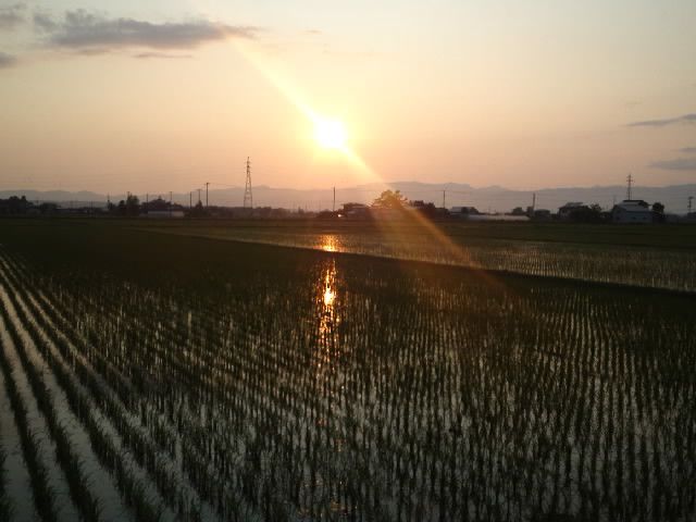 夕日の景色に思う