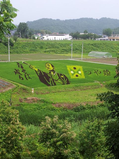 田んぼアート
