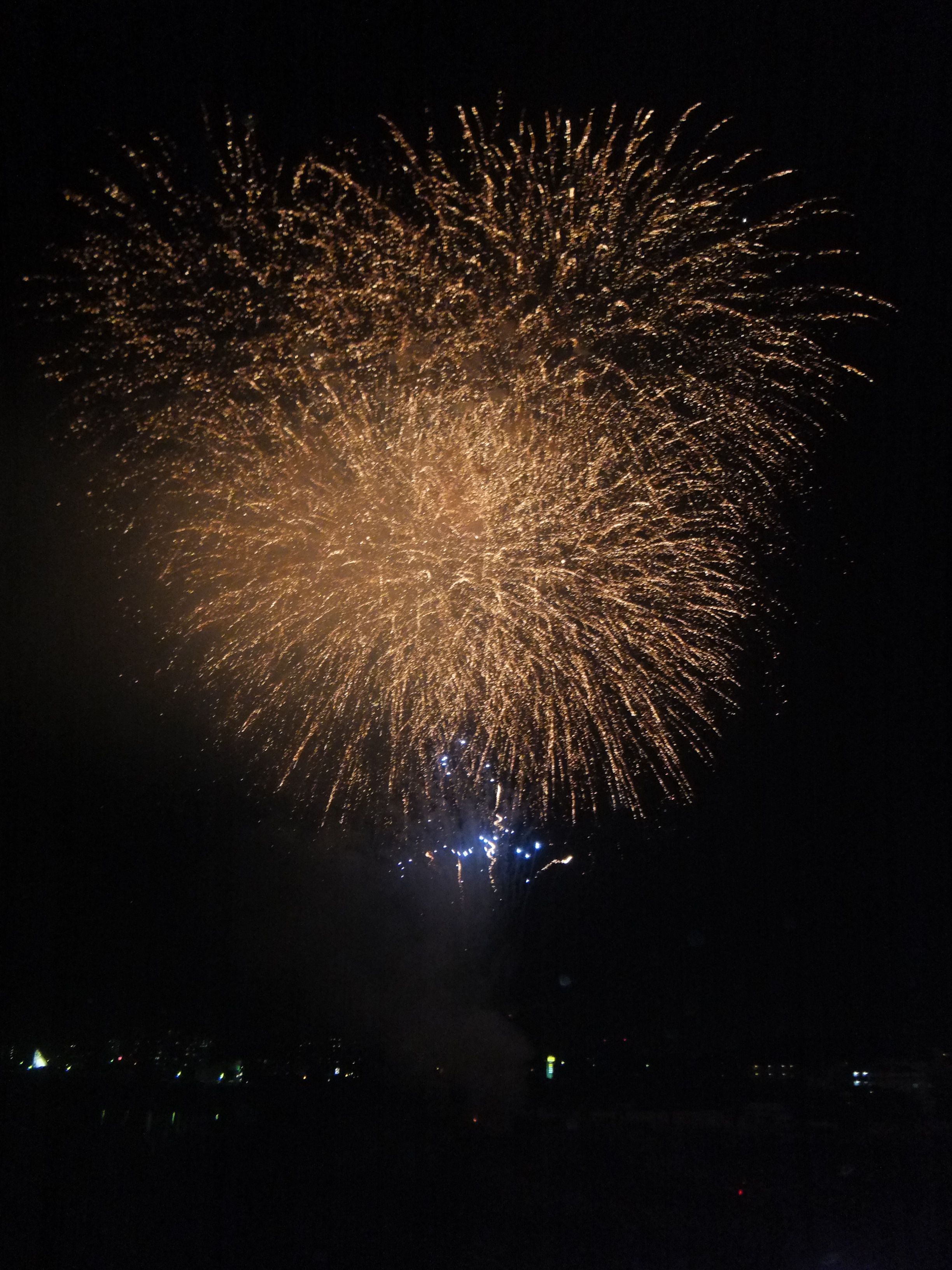 夜空に咲く大輪の花