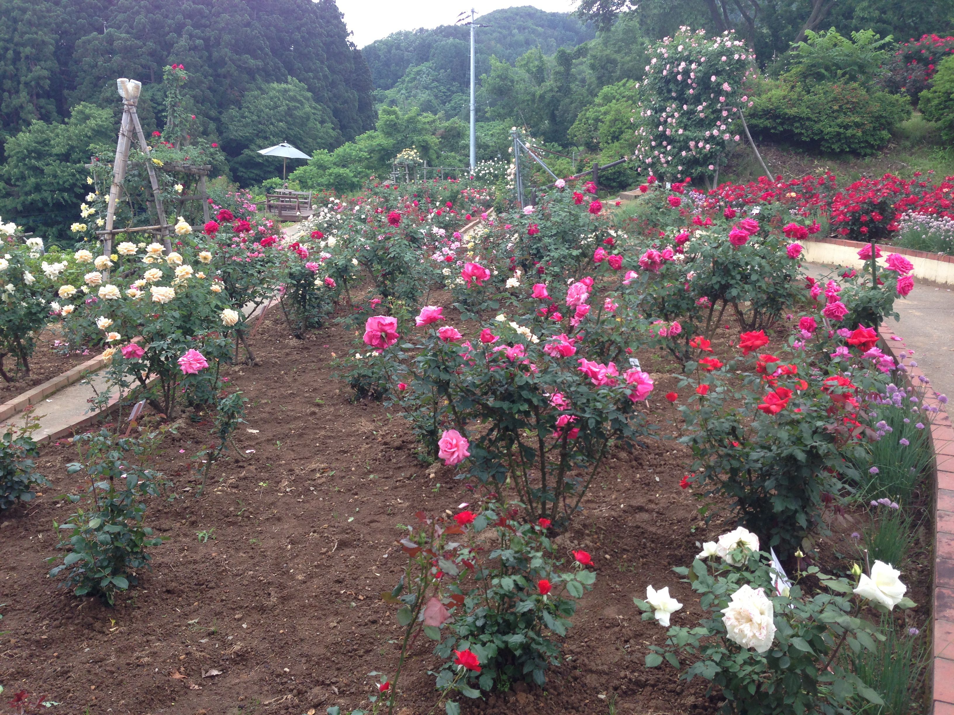 花の香り