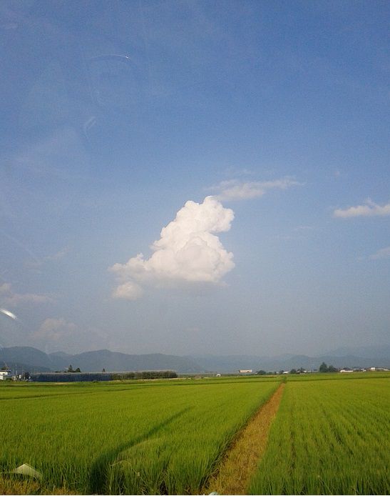 ８月ですね