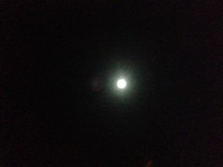 ペルセウス座流星群