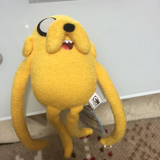 ついにゲット！