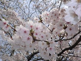 ありがとうございました