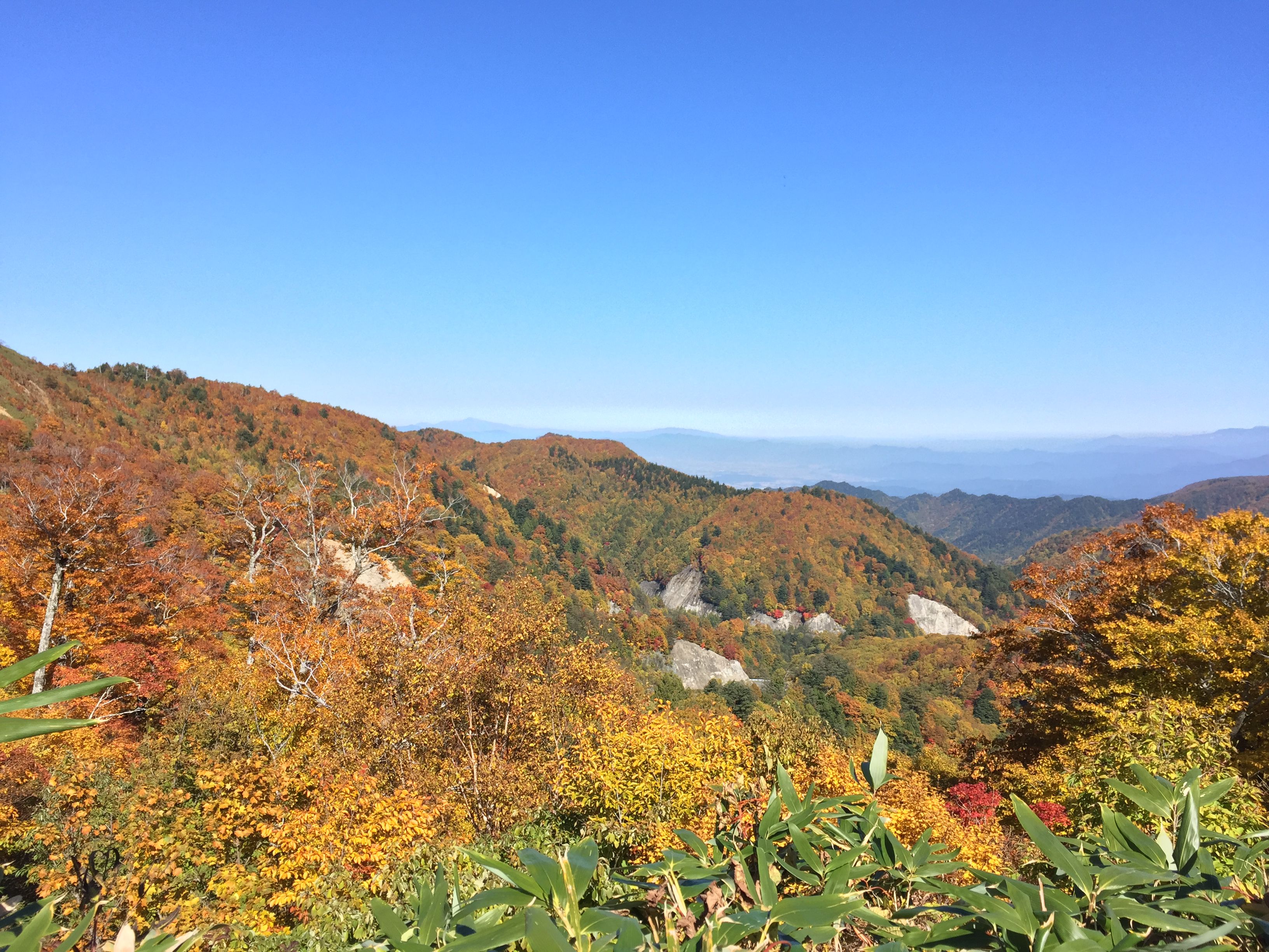 紅葉！！