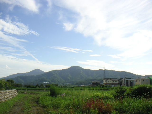 あわただしい打合せ。