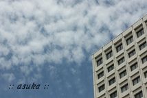 取材日記
