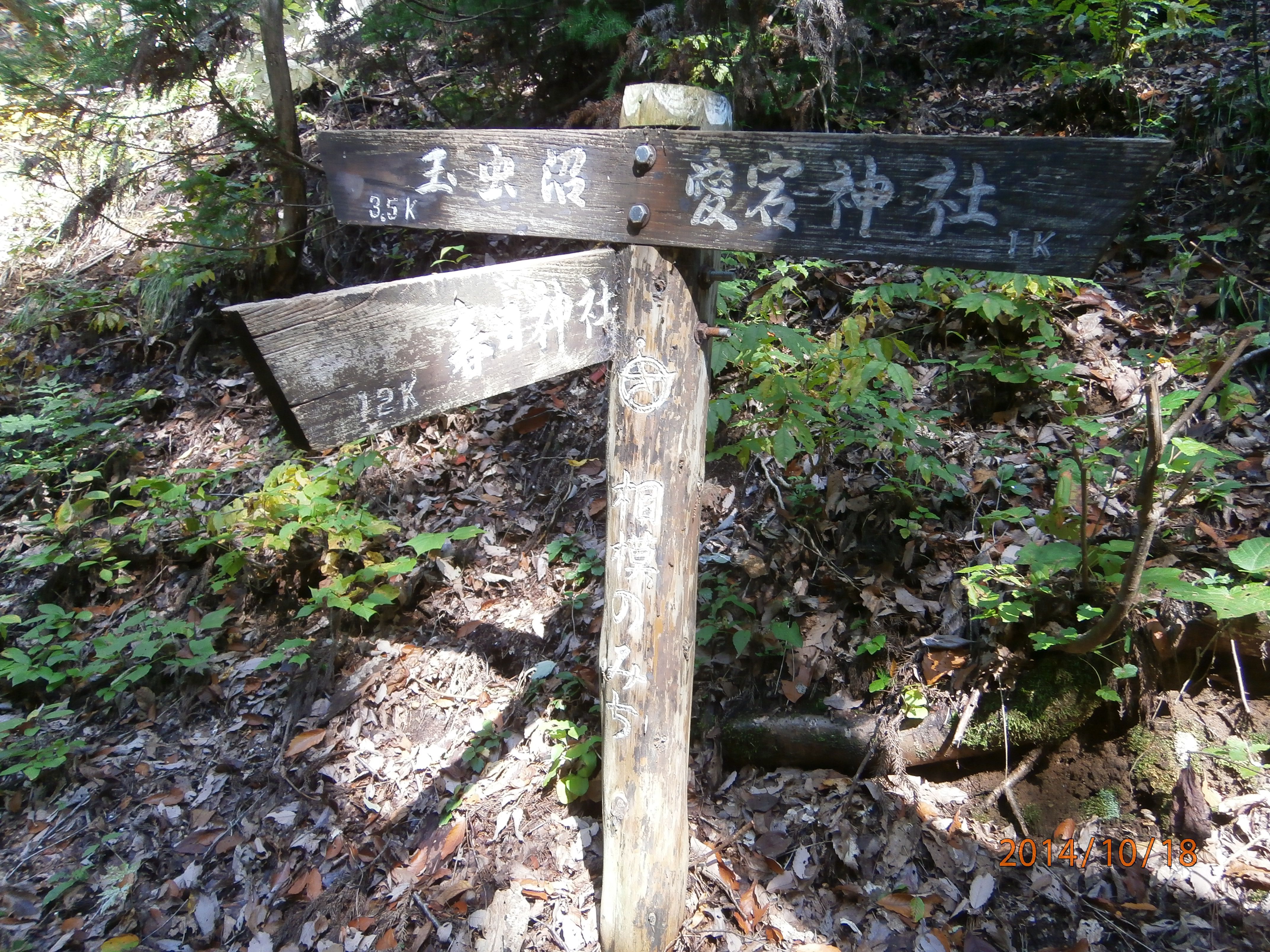 根際里山の草刈整備をしました