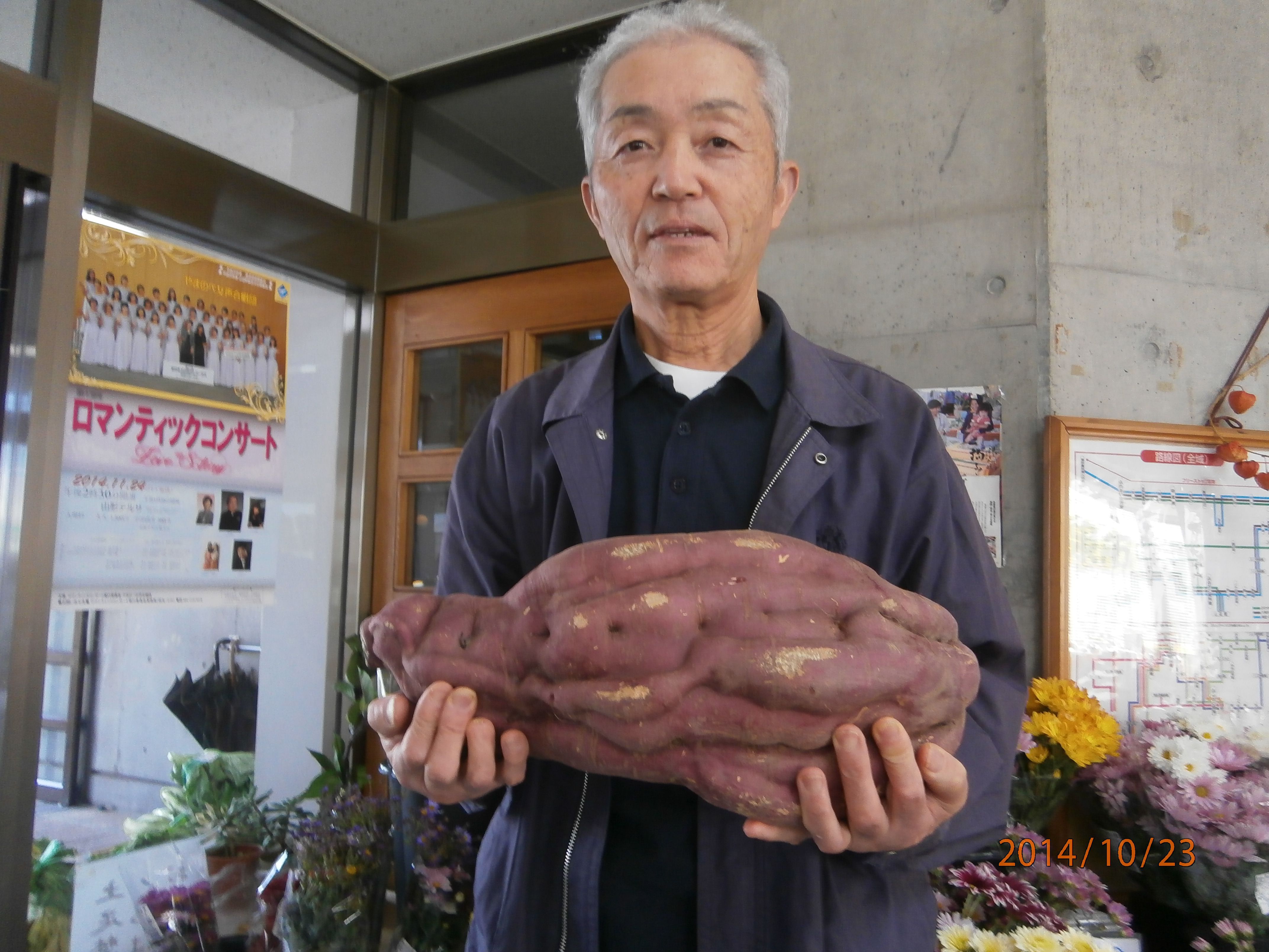 山辺温泉市にジャンボさつまいもが登場！