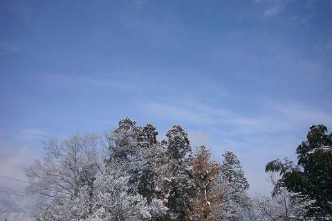 【NPOセンター】天気はどう？