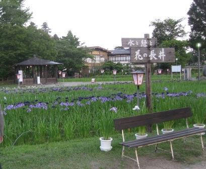 あやめ公園