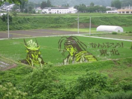 田んぼアート