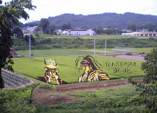 田んぼアート　８月上旬