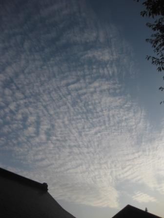 秋の空