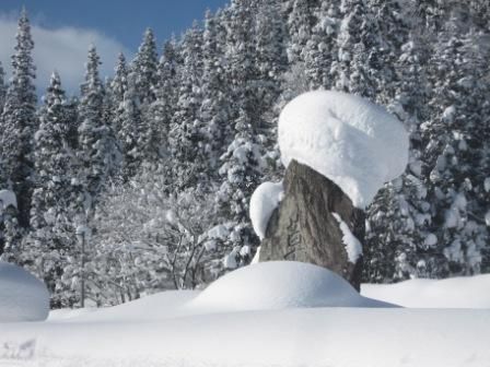雪の中に