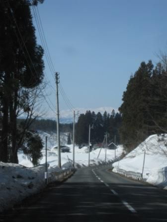 まだまだ白い