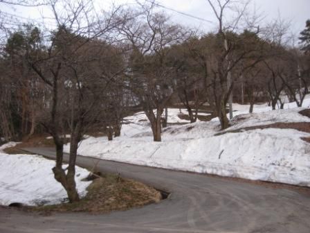 館山公園