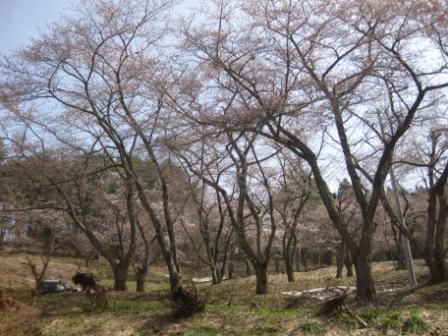 館山公園