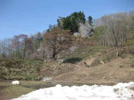 石割り桜