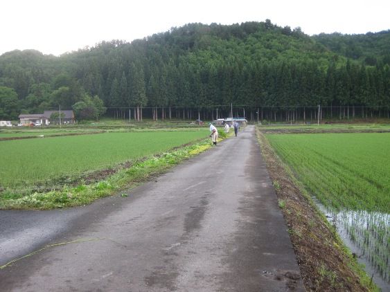 山里