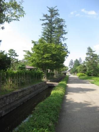 散策路