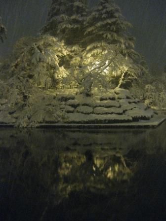 雪の華