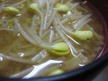 豆もやし