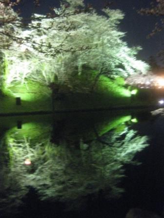夜桜