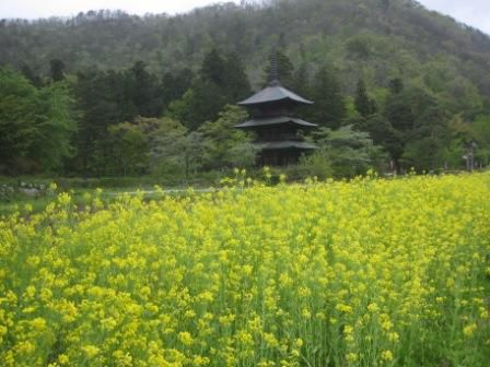 三重塔