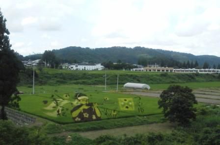 田んぼアート